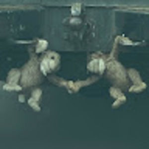 Meet your Posher, Alejandra